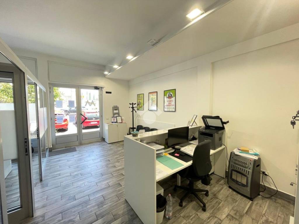 immagine annuncio 10 di 15