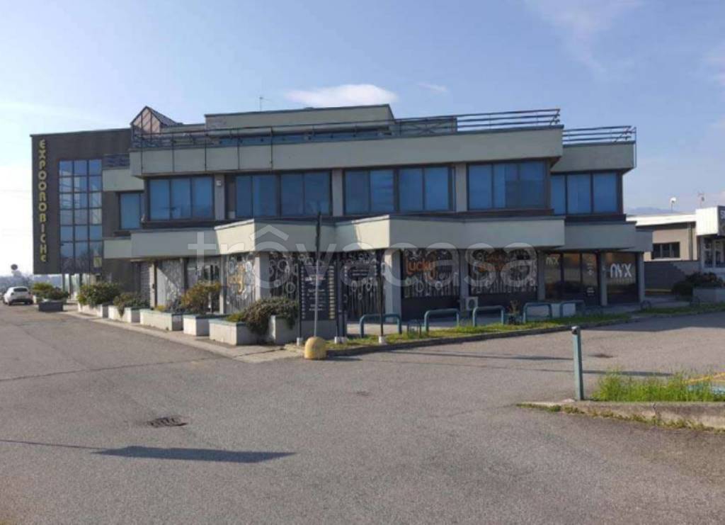 immagine annuncio 2 di 12
