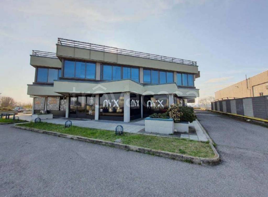 immagine annuncio 3 di 12