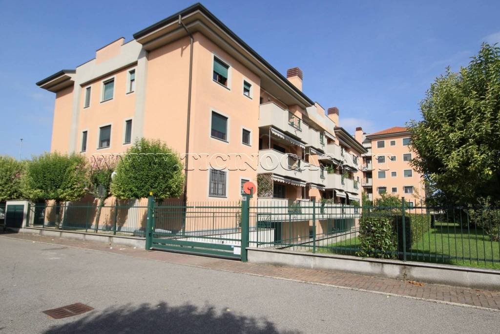 immagine annuncio 2 di 14