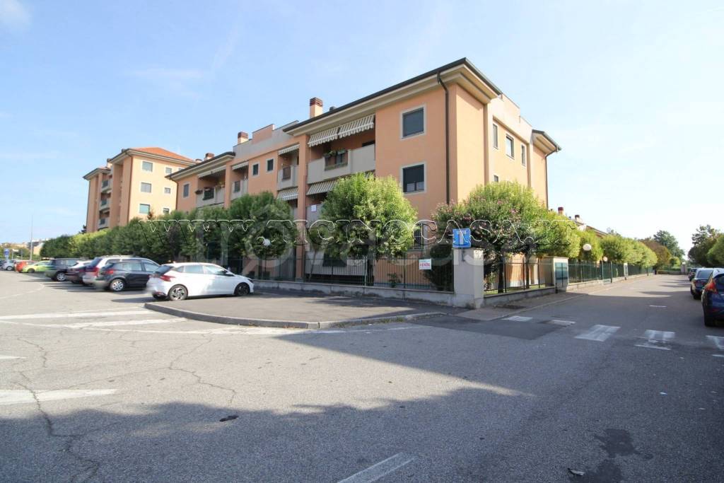 immagine annuncio 13 di 14