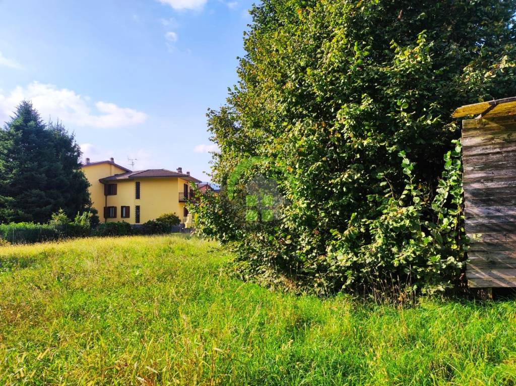 immagine annuncio 3 di 4