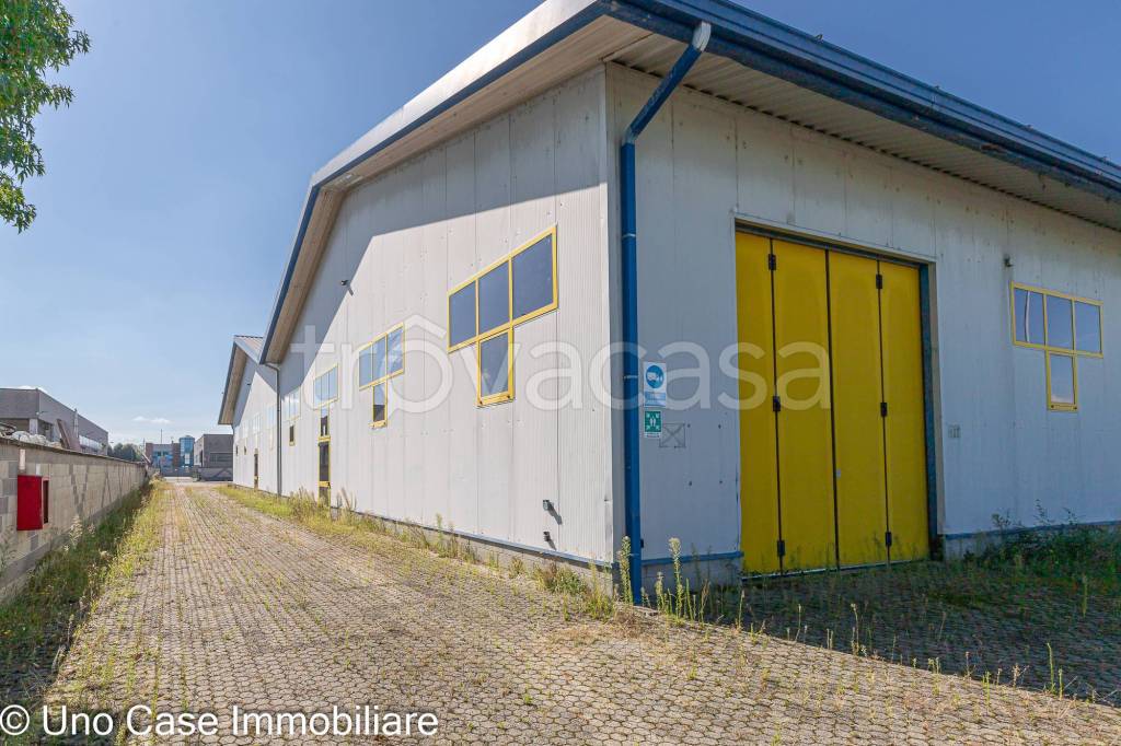 immagine annuncio 3 di 15