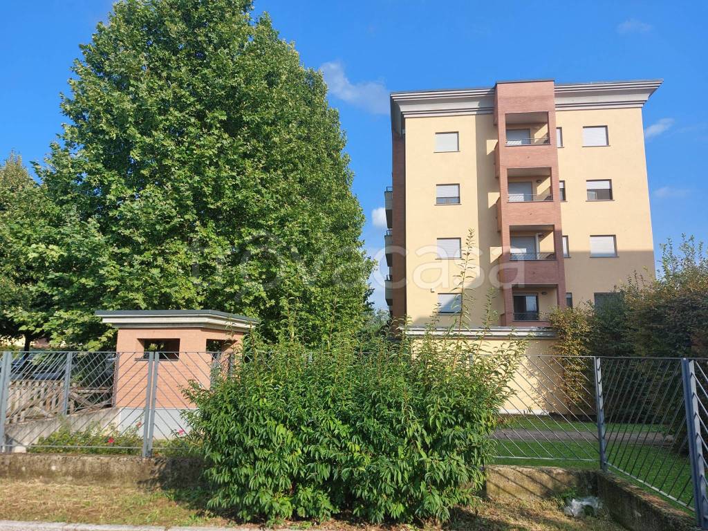immagine annuncio 2 di 15