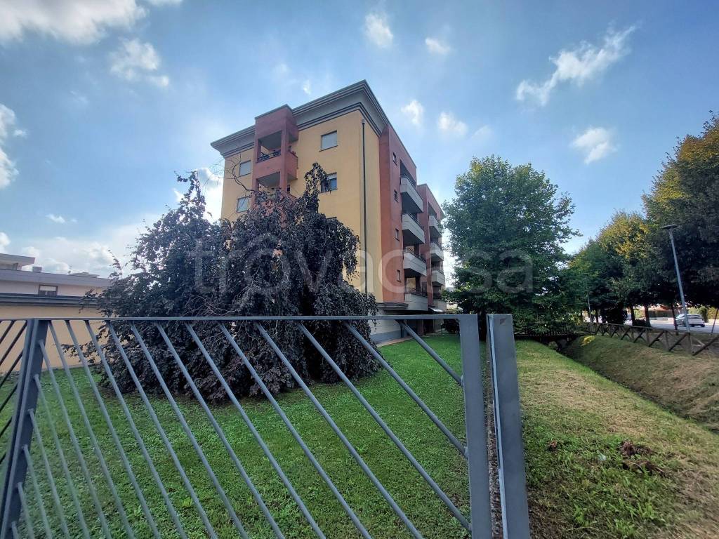immagine annuncio 7 di 15