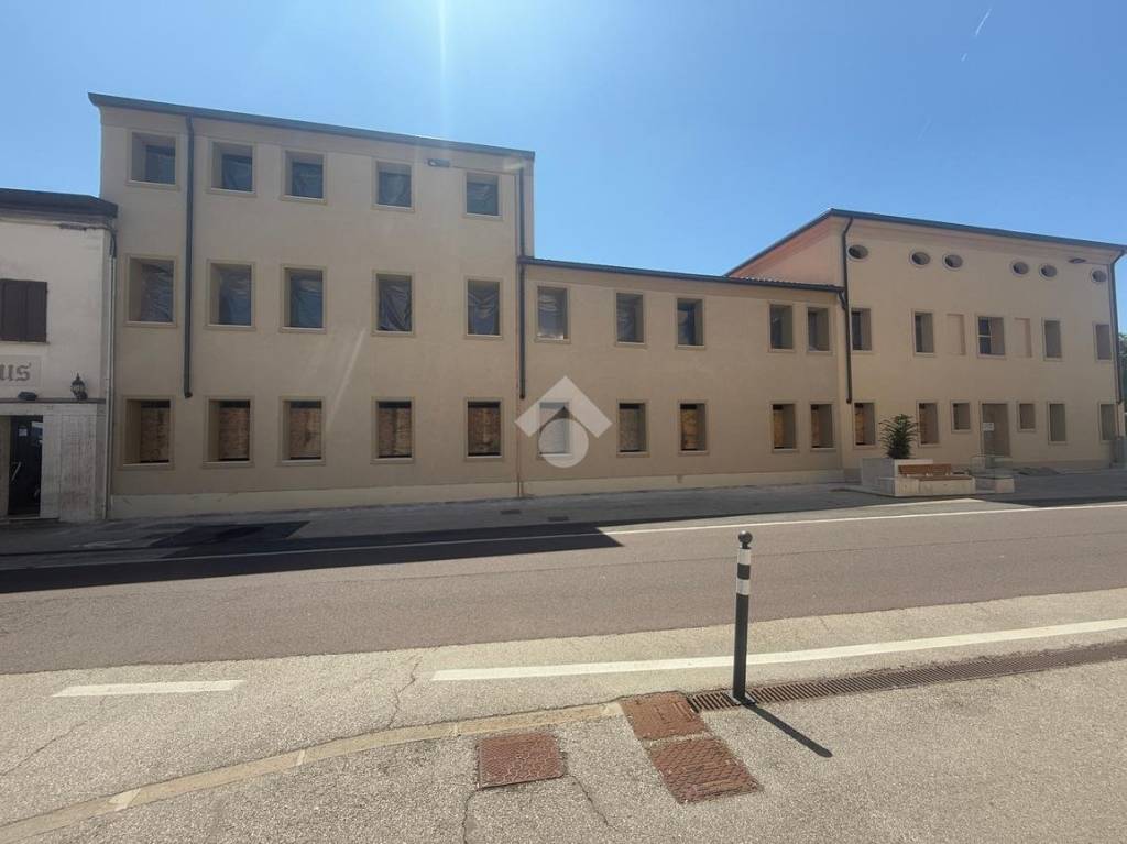 immagine annuncio 4 di 14