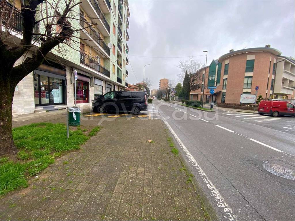 immagine annuncio 14 di 15