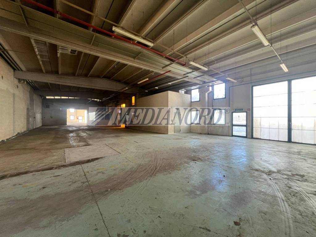 immagine annuncio 2 di 12