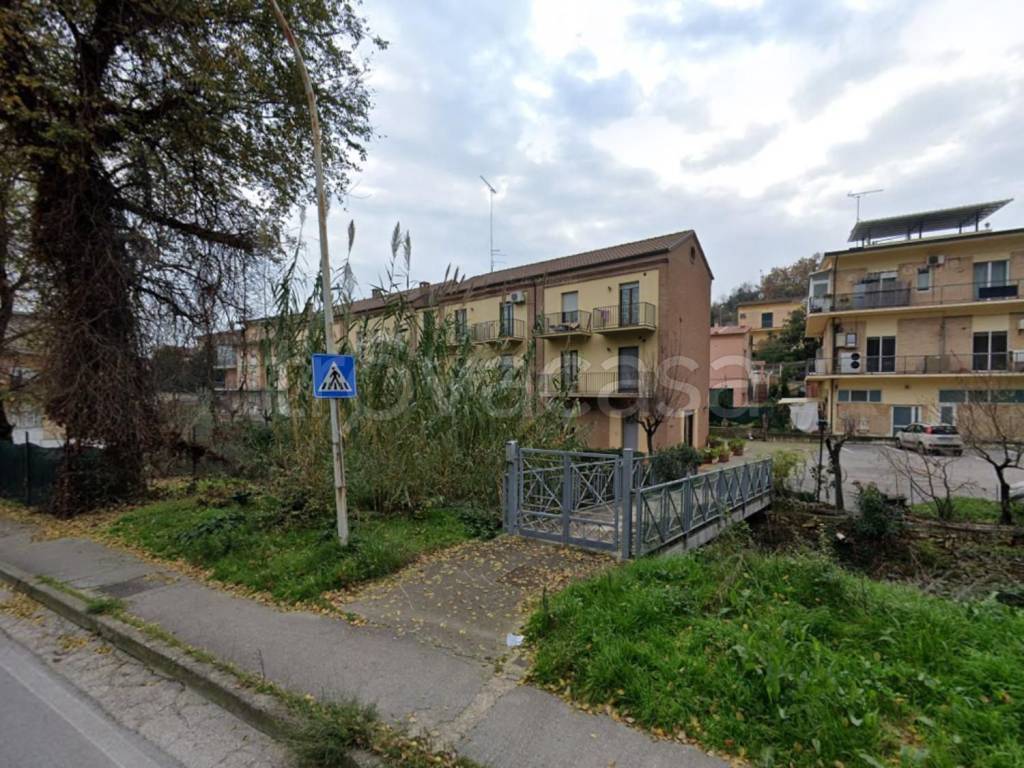 immagine annuncio 2 di 6