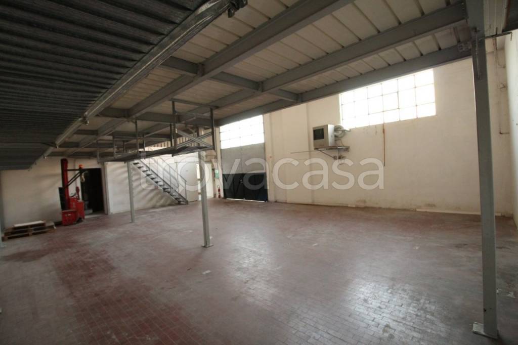 immagine annuncio 4 di 14