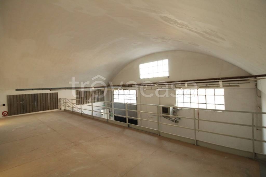 immagine annuncio 11 di 14