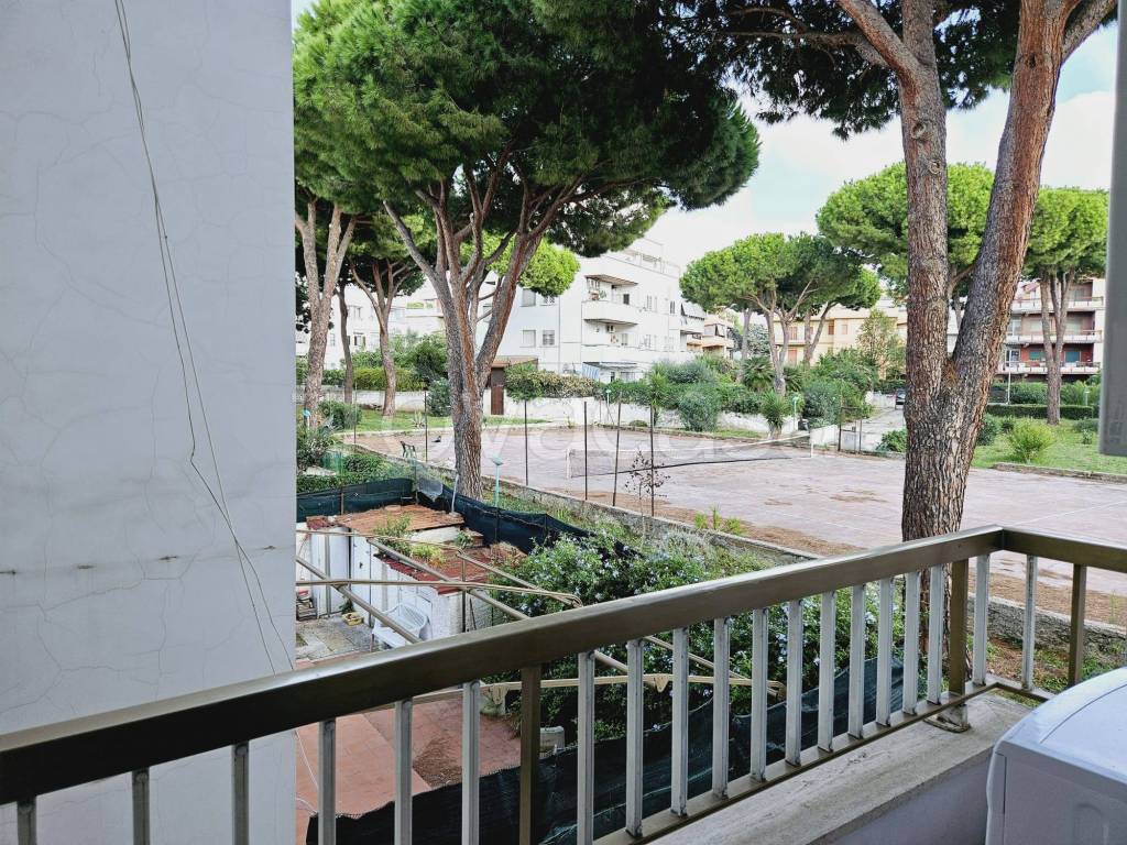 immagine annuncio 10 di 12