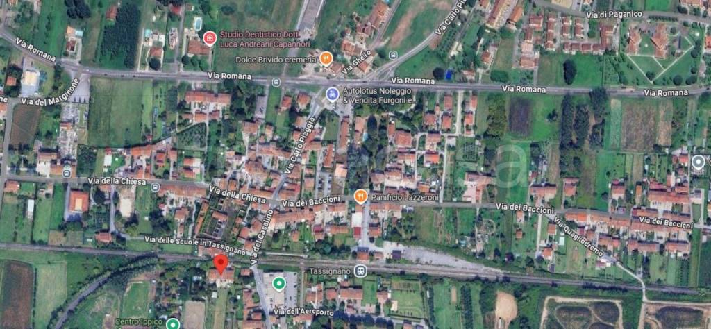 immagine annuncio 7 di 14