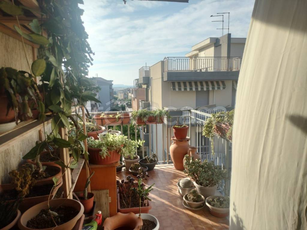 immagine annuncio 3 di 11