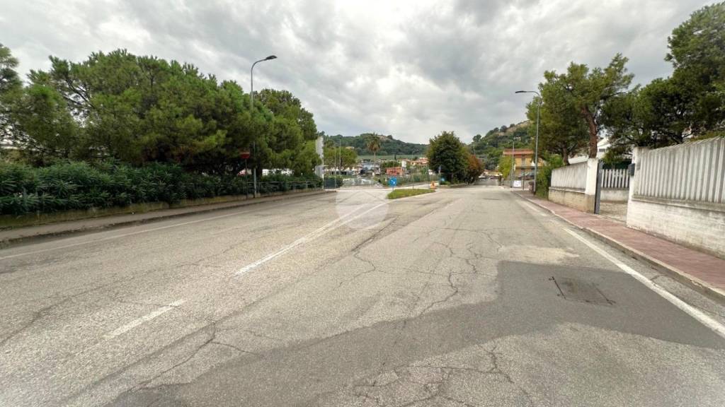 immagine annuncio 12 di 13