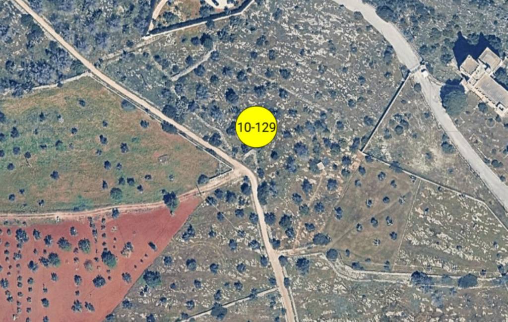 immagine annuncio 10 di 11