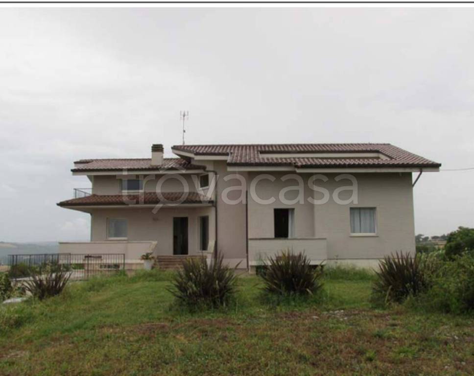 immagine annuncio 11 di 13