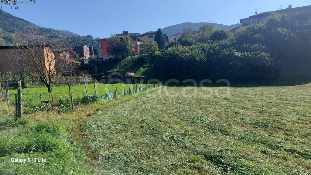 immagine annuncio 4 di 7