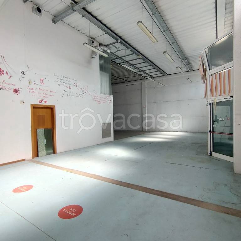 immagine annuncio 3 di 9