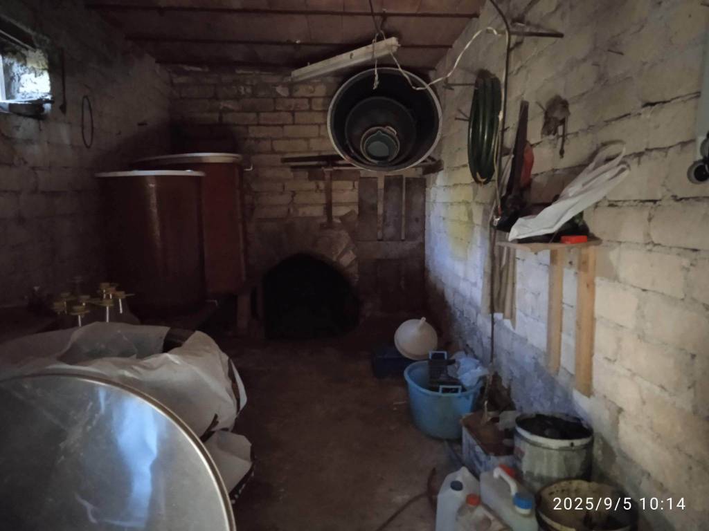 immagine annuncio 7 di 12
