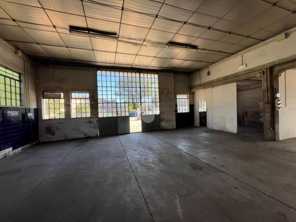 immagine annuncio 12 di 15