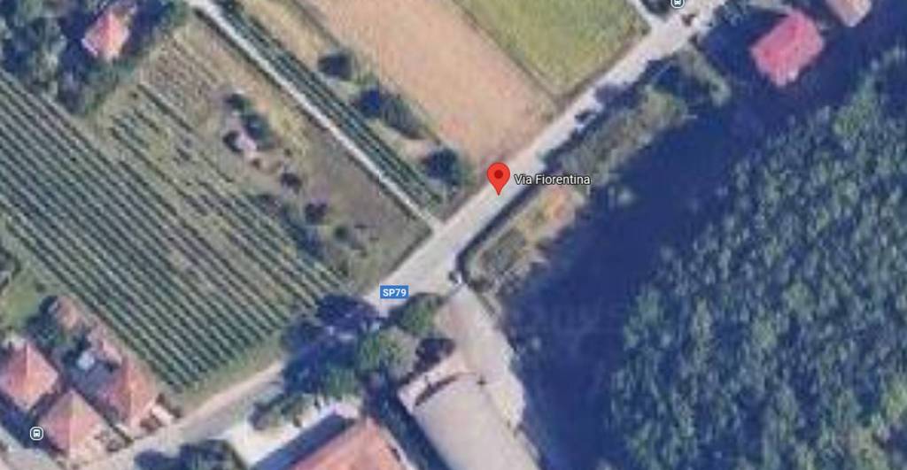 immagine annuncio 3 di 11