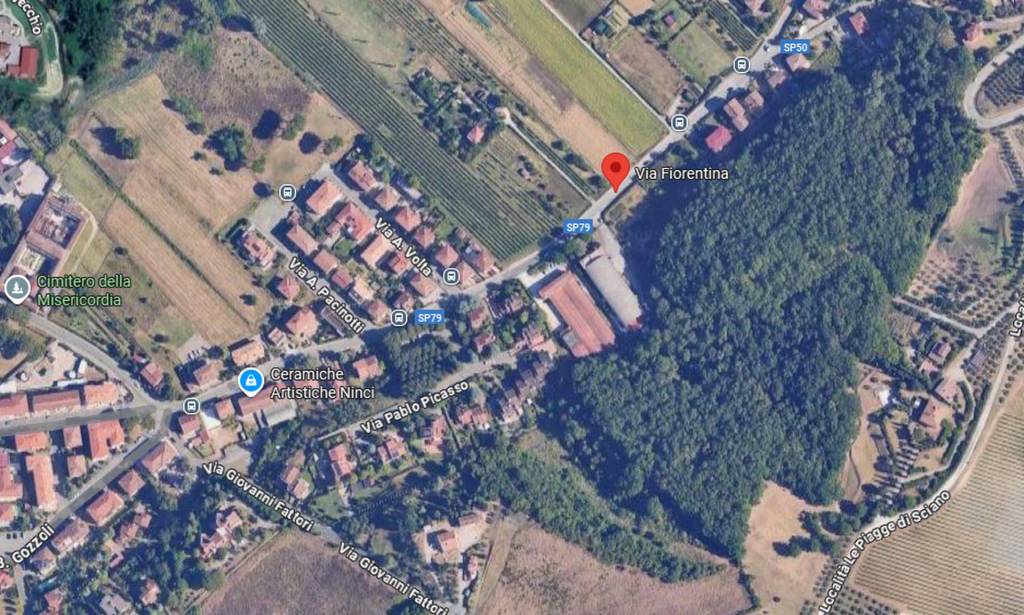 immagine annuncio 5 di 11