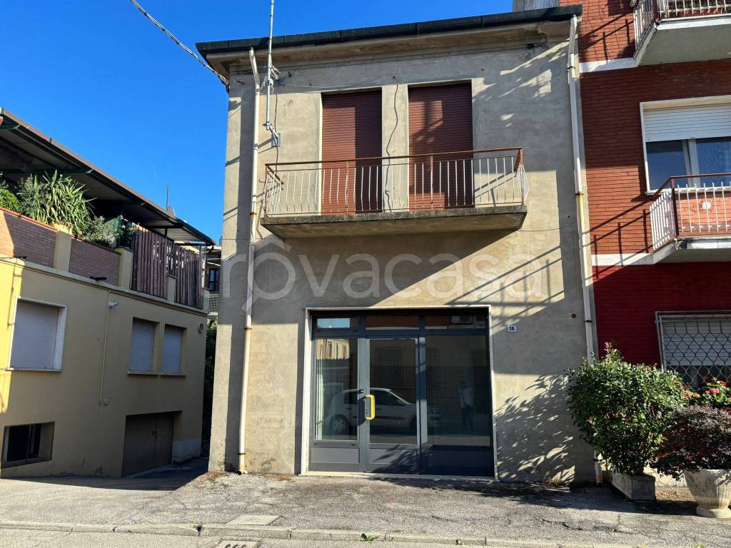 immagine annuncio 3 di 15