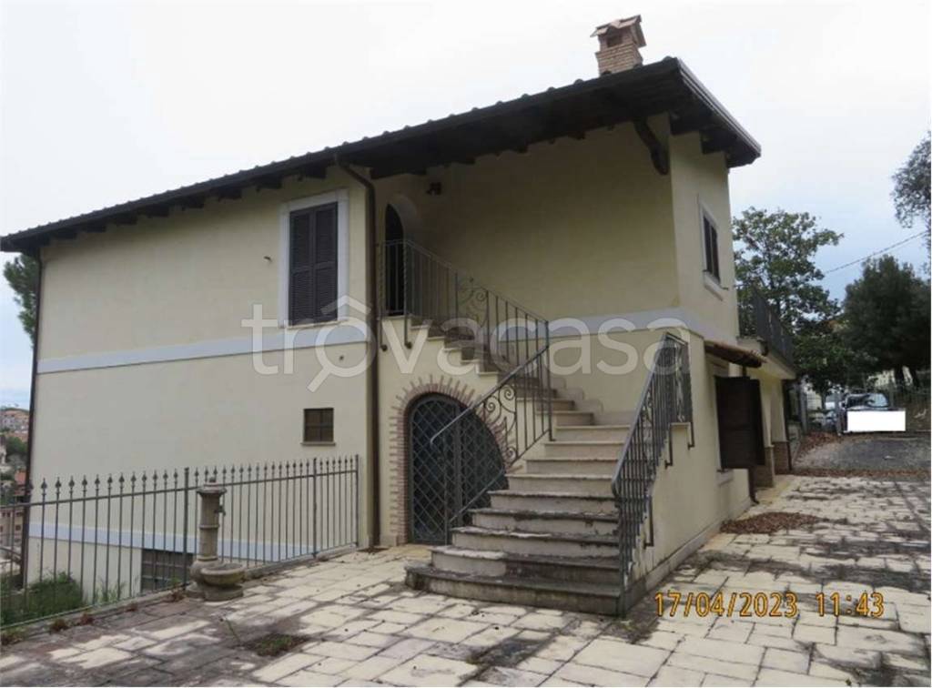 immagine annuncio 3 di 11