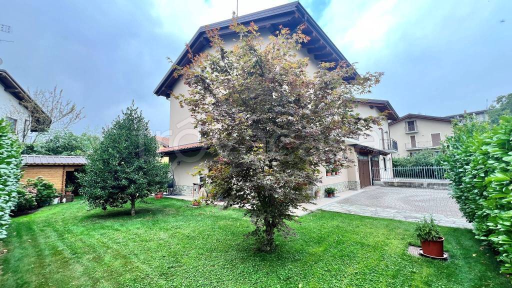 immagine annuncio 13 di 15