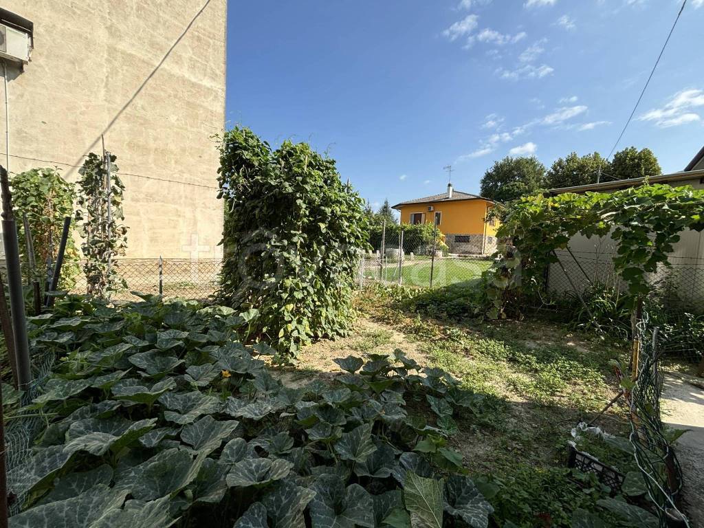 immagine annuncio 9 di 12