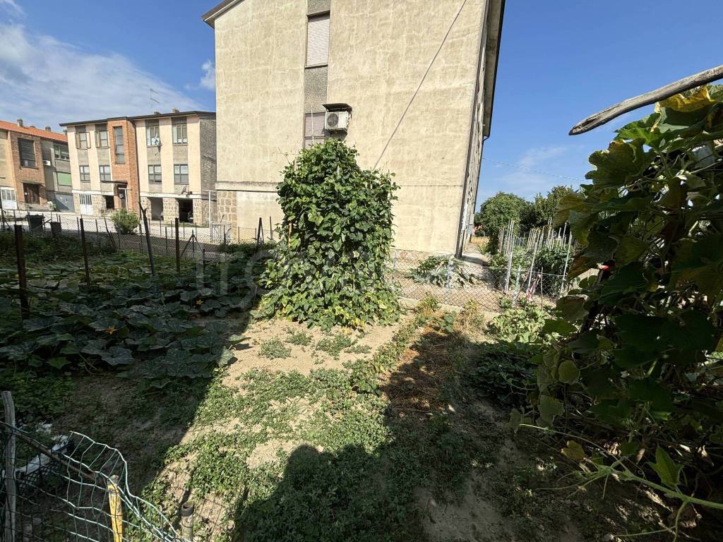 immagine annuncio 10 di 12