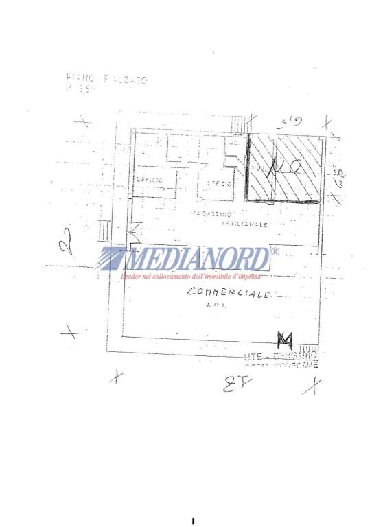 immagine annuncio 7 di 11