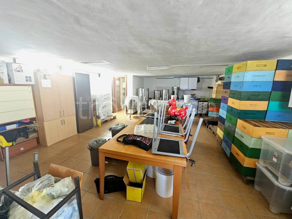 immagine annuncio 2 di 4