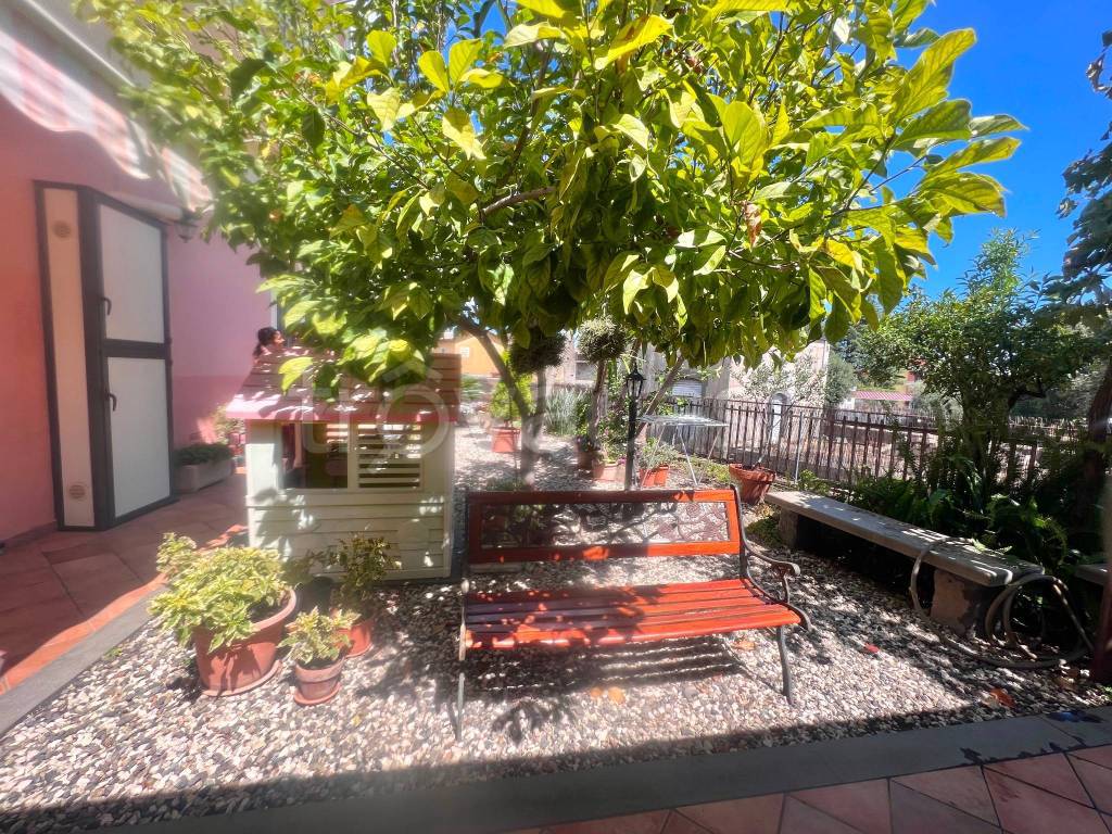 immagine annuncio 11 di 15