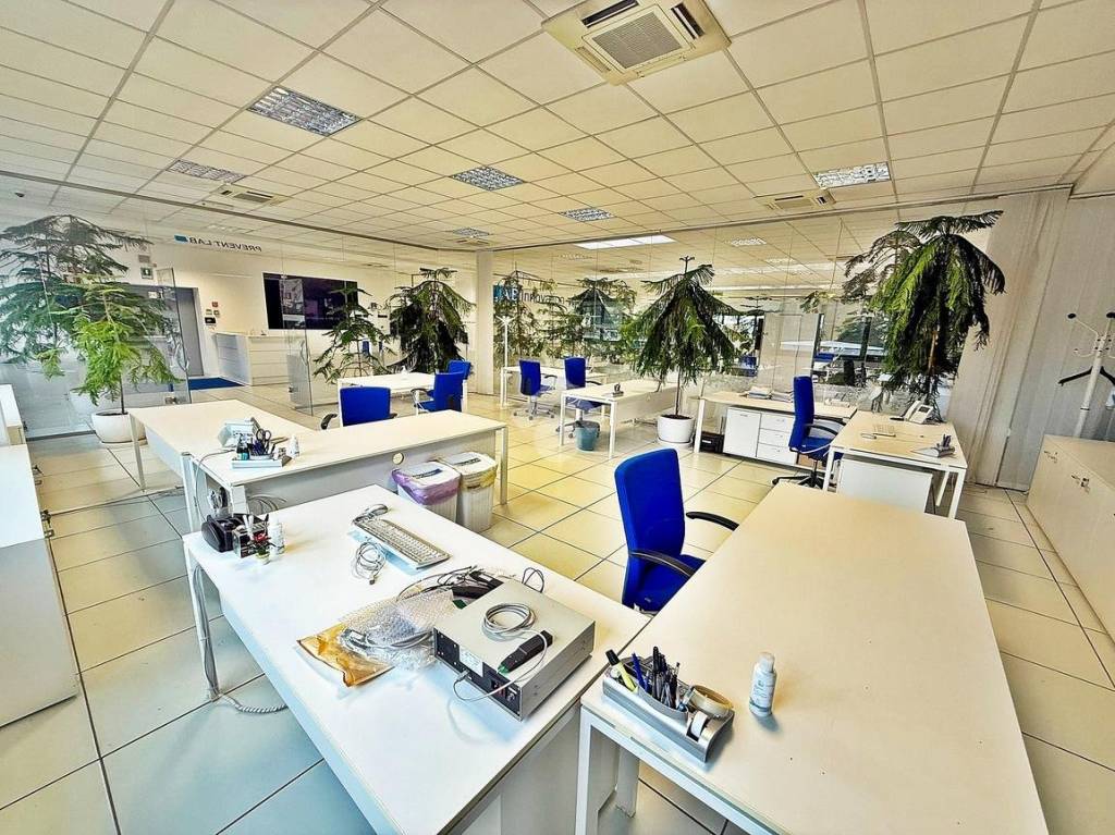 immagine annuncio 14 di 15