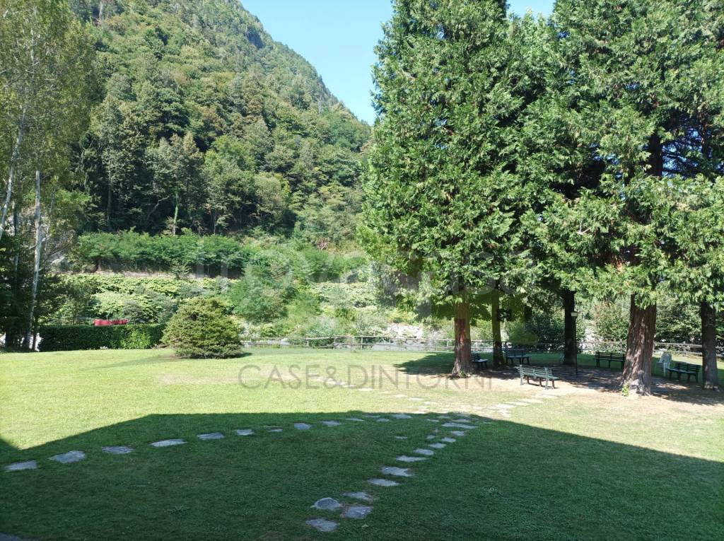 immagine annuncio 10 di 11