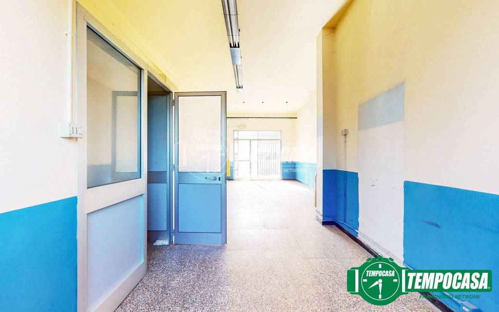 immagine annuncio 5 di 11