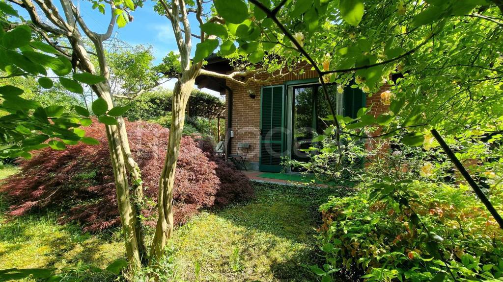 immagine annuncio 4 di 15