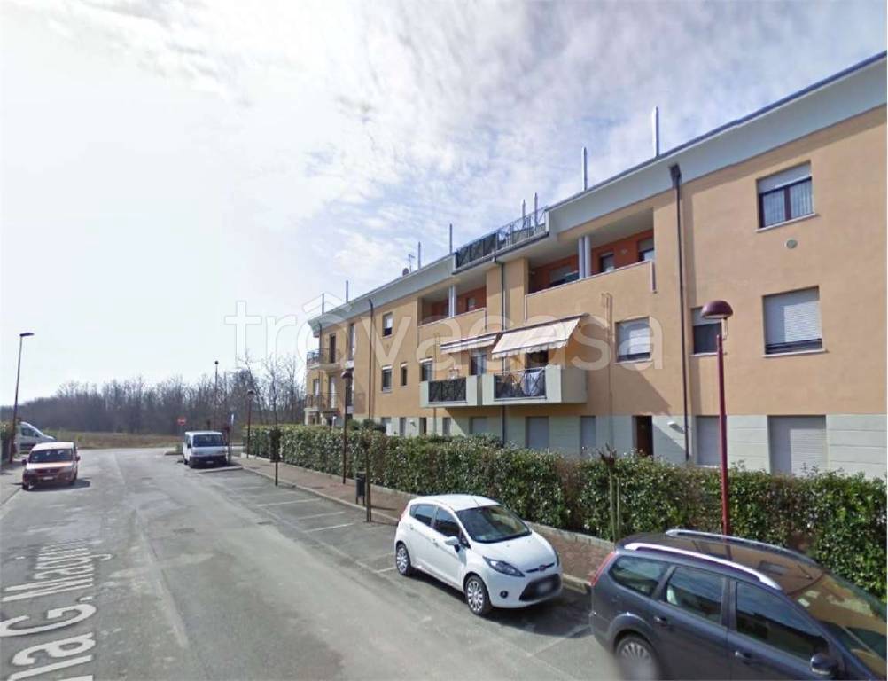 immagine annuncio 9 di 15