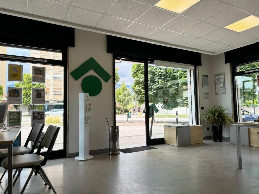 immagine annuncio 2 di 12