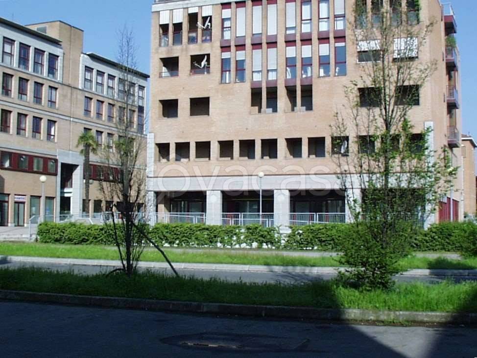 immagine annuncio 1 di 14