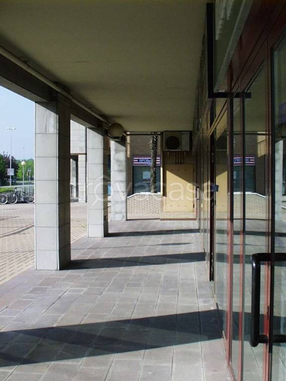 immagine annuncio 4 di 14