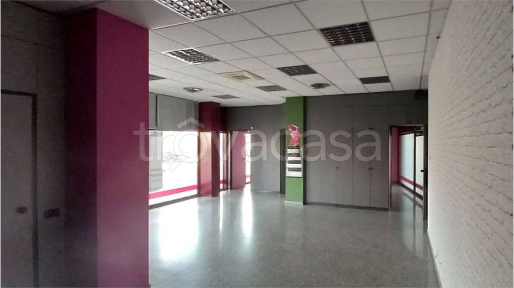 immagine annuncio 6 di 14