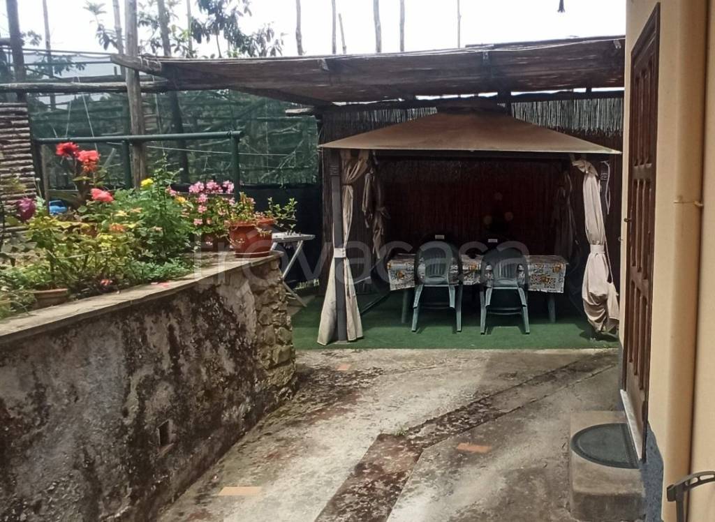 immagine annuncio 4 di 7