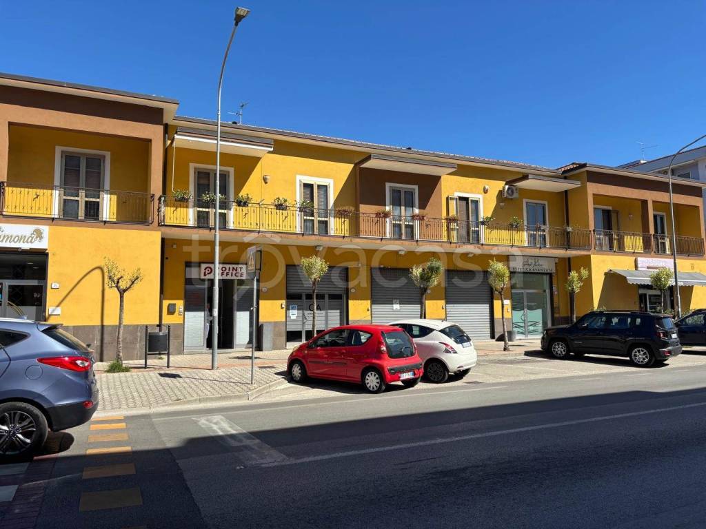 immagine annuncio 2 di 14