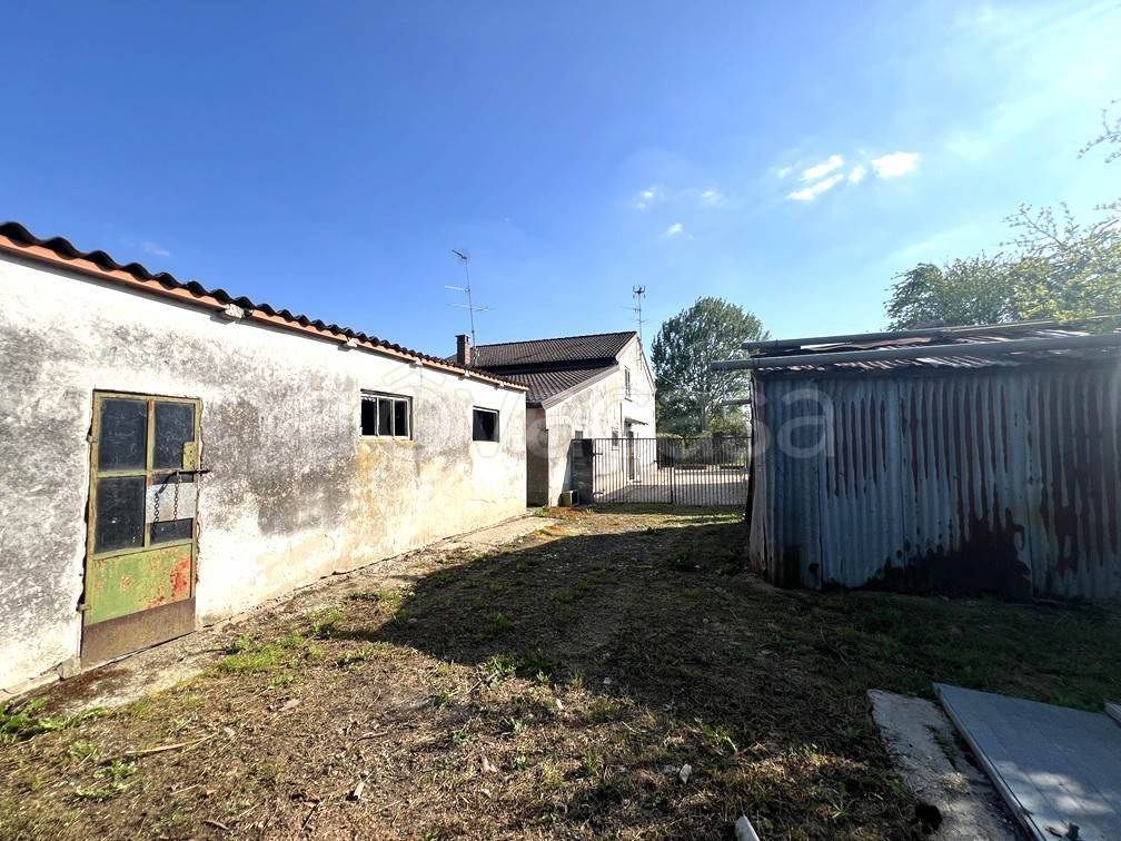 immagine annuncio 6 di 15