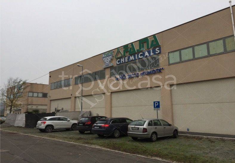 immagine annuncio 2 di 12