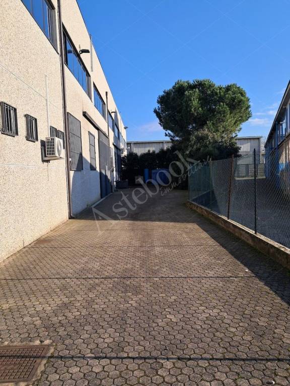 immagine annuncio 5 di 15