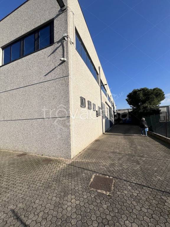 immagine annuncio 11 di 15